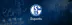 A Schalke eladja a League of Legends csapatátcikk borítóképe